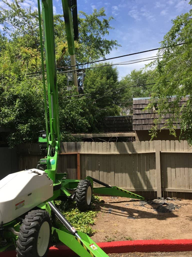 Tree Removal in Grass Valley