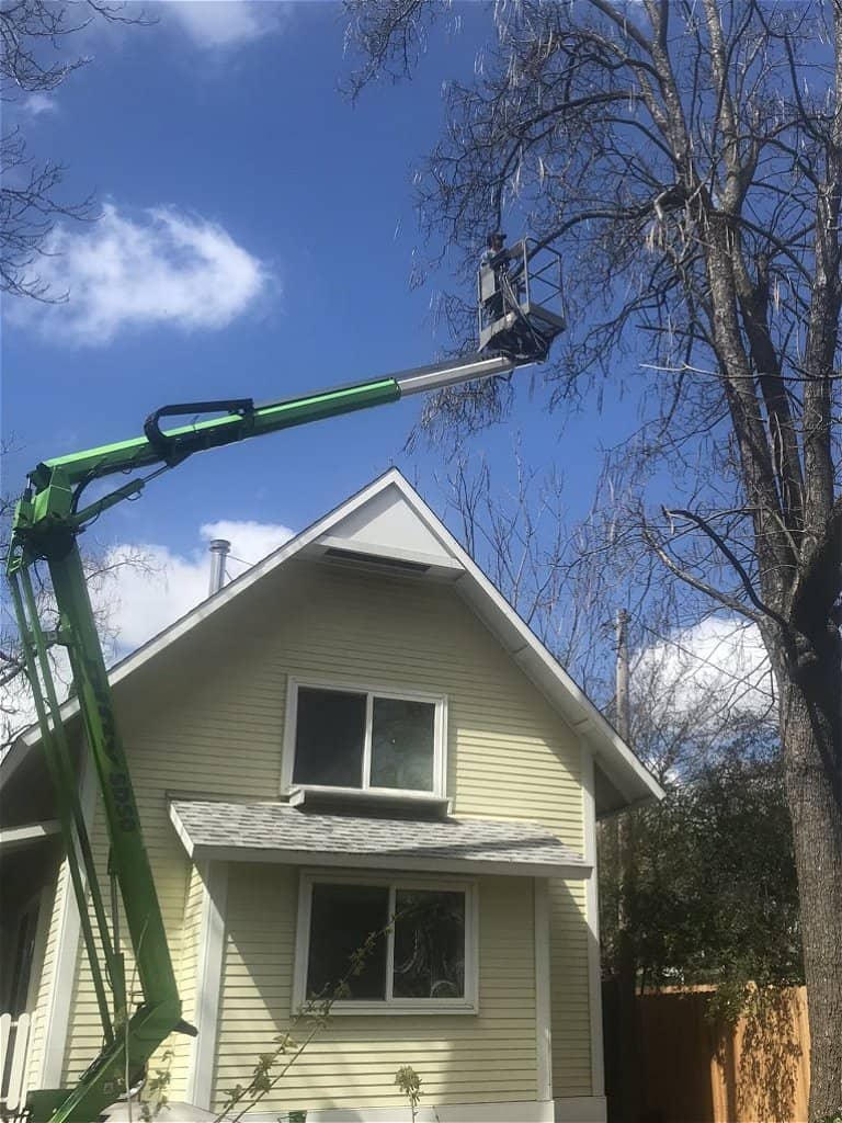 Tree Trimming in Grass Valley